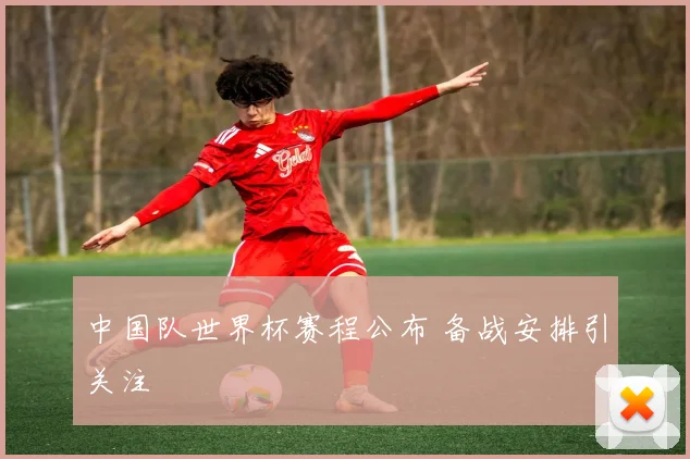 中国队世界杯赛程公布 备战安排引关注