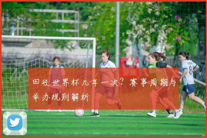 田径世界杯几年一次？赛事周期与举办规则解析